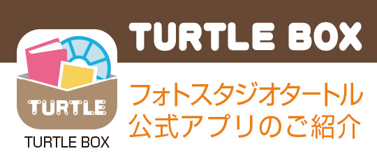 TURTLE BOX