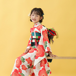 フォトギャラリー