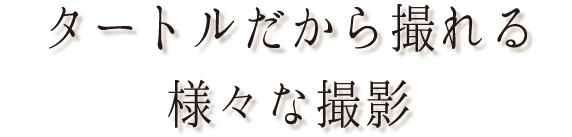 タートルだから撮れる様々な撮影