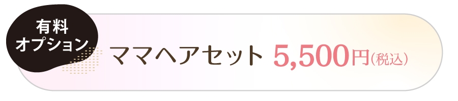 ヘアセットオプション